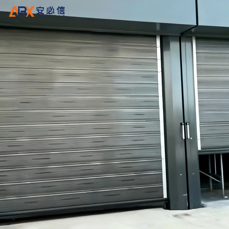 绵阳市金属高速门